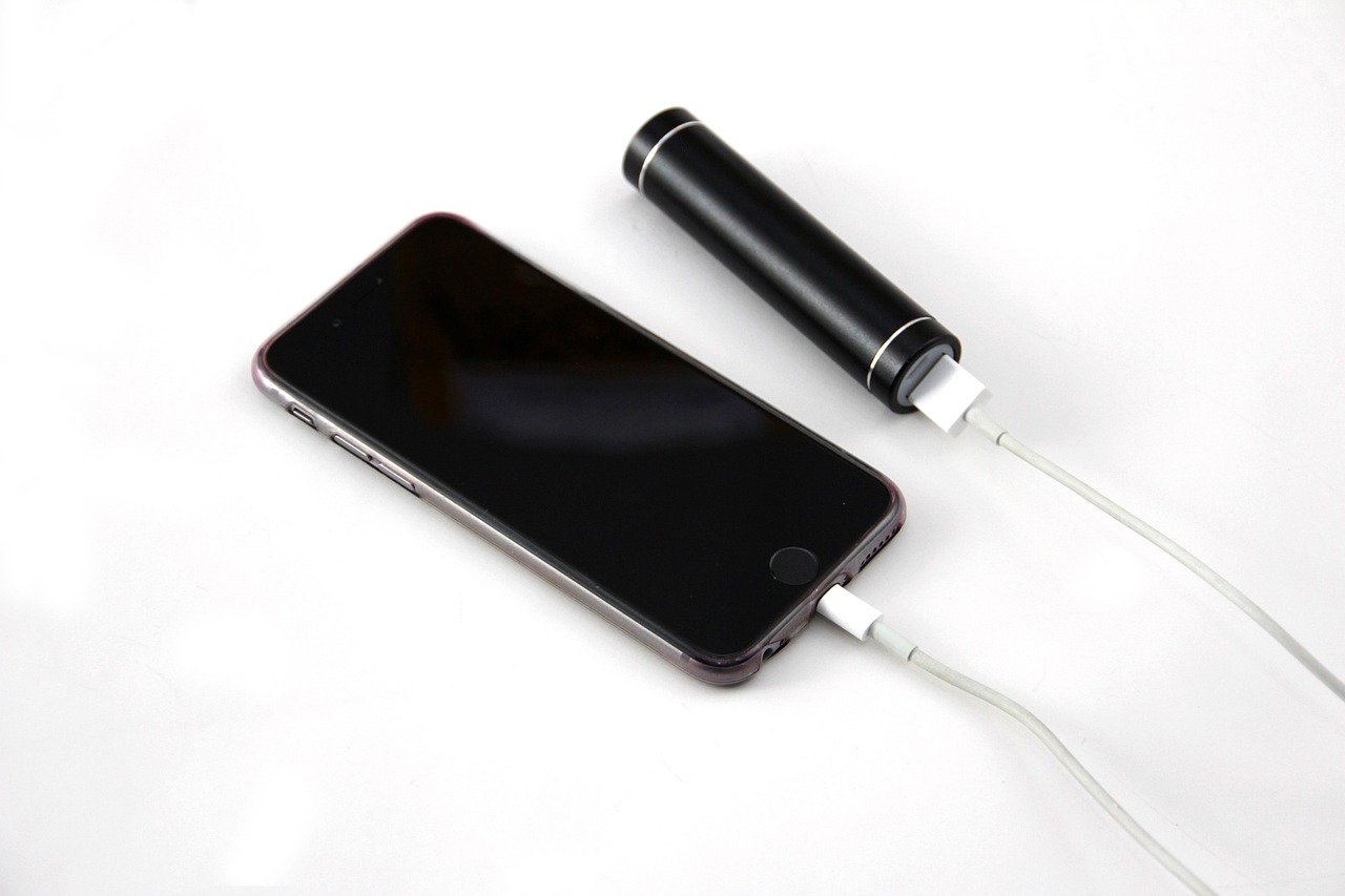 ディズニーは超・スマホ依存!充電切れのリスク